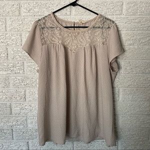 3 for $15/ Perch  Black & Cream Polka Dot Lace Top 2XL